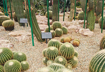 太原植物园第 24 张图片