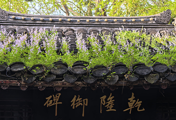 大明寺第 46 张图片