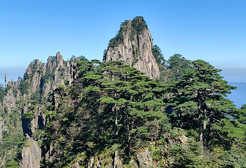 黄山风景区第 107 张图片
