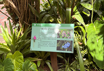 中国科学院西双版纳热带植物园第 142 张图片
