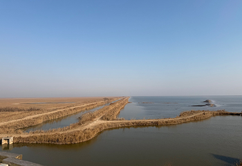 丹顶鹤湿地生态旅游区第 32 张图片