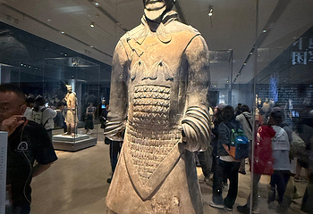 秦始皇帝陵博物院(兵马俑)第 395 张图片