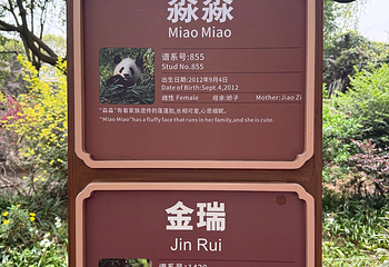 成都大熊猫繁育研究基地第 99 张图片