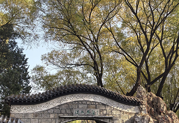 团结湖公园第 73 张图片