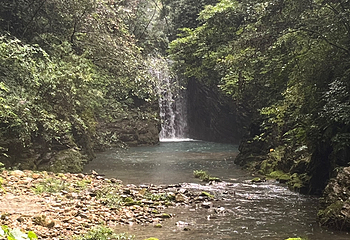 张家界大峡谷第 161 张图片