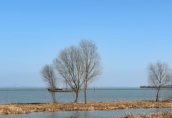 太湖西山岛第 38 张图片