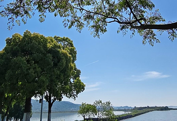 太湖西山岛第 35 张图片