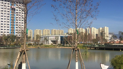 玉溪杯湖公园第 1 张图片