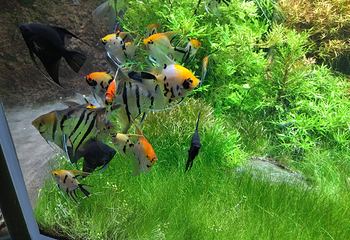 浅虫水族馆第 12 张图片