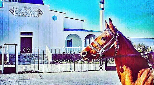 Tsentral'naya Mechet'