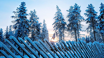 Santa Claus Reindeer