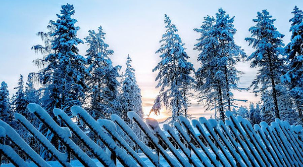 Santa Claus Reindeer