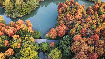 西溪国家湿地公园第 155 张图片