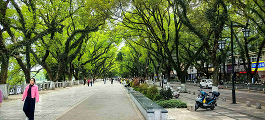 象鼻山景区第 35 张图片