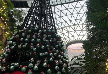 星耀樟宜第 204 张图片