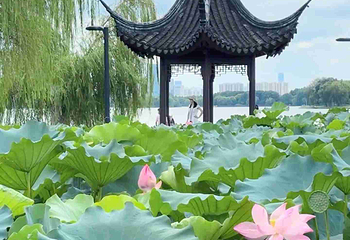 石湖景区第 120 张图片