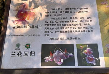 中国科学院西双版纳热带植物园第 153 张图片