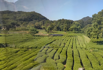 灵隐飞来峰景区第 168 张图片
