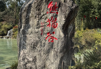 熊猫谷第 121 张图片