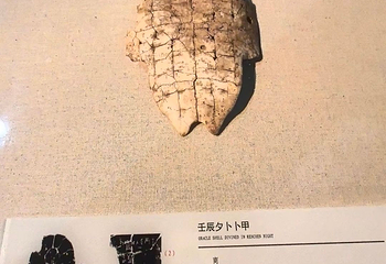 中国文字博物馆第 30 张图片