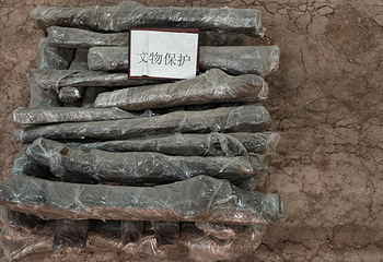 南越王博物院(王宫展区)第 147 张图片