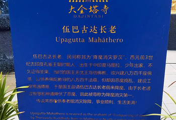 景洪市大金塔寺第 21 张图片