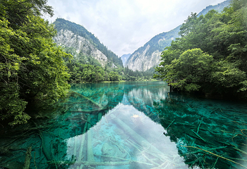 九寨沟风景区第 50 张图片