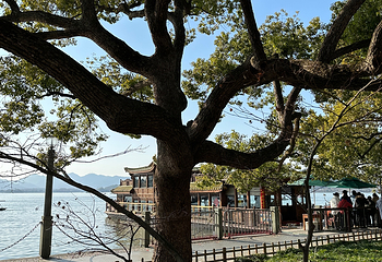西湖风景名胜区第 292 张图片