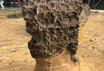 野柳地质公园第 106 张图片