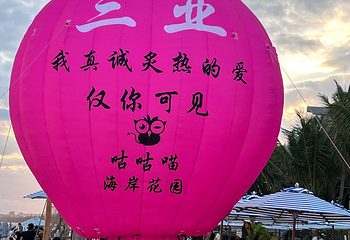 椰梦长廊第 95 张图片