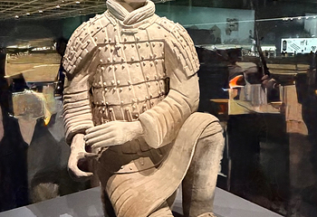 秦始皇帝陵博物院(兵马俑)第 479 张图片