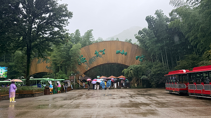 天目湖南山竹海第 194 张图片