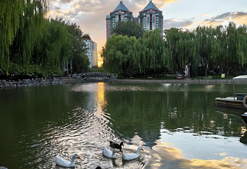 团结湖公园第 117 张图片
