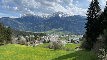 Way of the Dragon Treetop Walk
