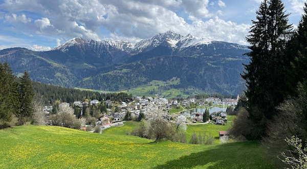 Way of the Dragon Treetop Walk
