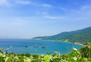山茶半岛第 35 张图片