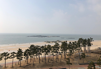 大川海水浴场第 13 张图片