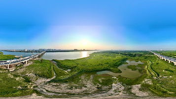 Bãi bồi vườn nhãn Sông Hồng