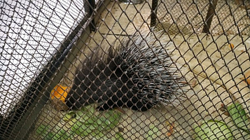 Station of young naturalists