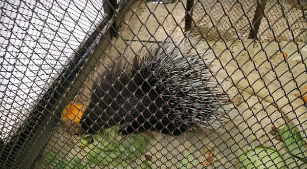 Station of young naturalists