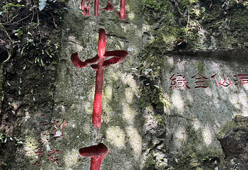 织金洞第 229 张图片