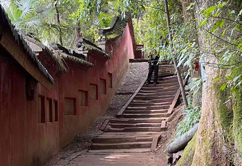 青城山第 351 张图片