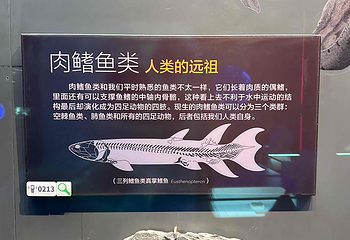 海合安天津极地海洋公园第 161 张图片