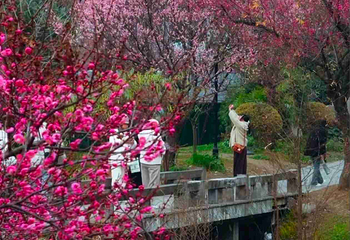浣花溪公园第 77 张图片