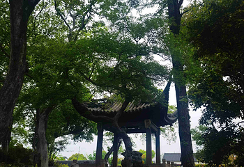 沧浪亭第 65 张图片