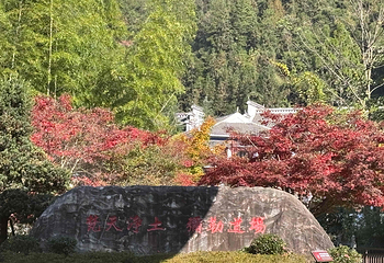 梵净山第 137 张图片