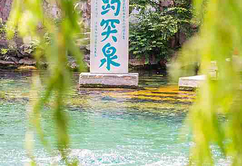 趵突泉景区第 216 张图片