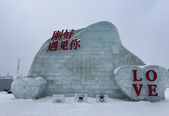 哈尔滨冰雪大世界第 264 张图片