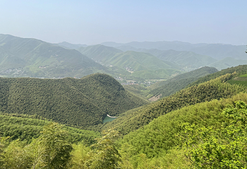 莫干山风景名胜区第 52 张图片