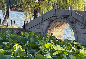石湖景区第 87 张图片